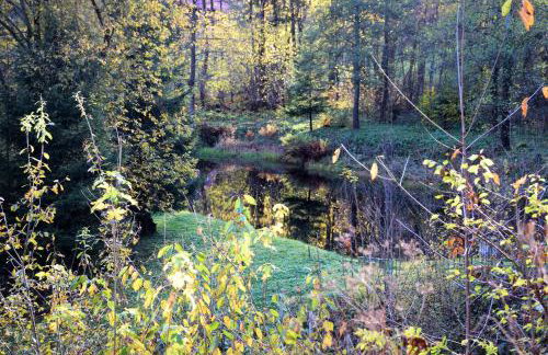 Studio Gościnne ANTEK - Foto 35