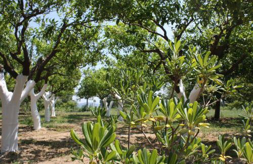 Azienda Agrituristica Le Puzelle - Photo 115