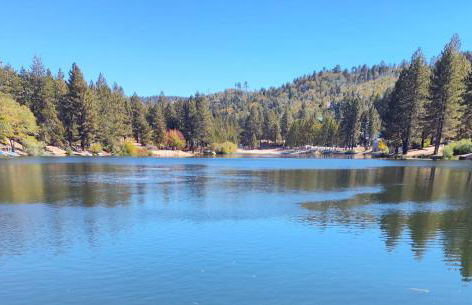 Snow Bunny Cottage, Pets Welcomed! - Foto 39