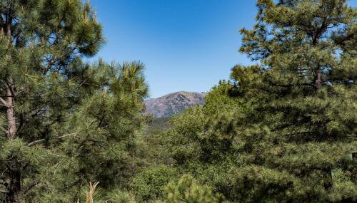 Homer's Hideaway by Ruidoso Vacation Rentals - Foto 5