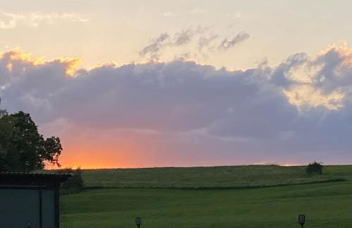 Ferienwohnungen Büffel - Foto 14