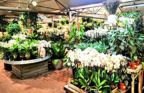 Cozy Cotswold getaway near Burford - Foto 27