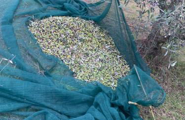 Agriturismo Cerquatonda - Foto 29