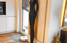 Luxurious large home with Pool, Garden, Koi Pond only 12 min to Octoberfest - Foto 10