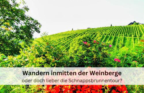 Black Forest Stay - Apartment Hirschperle - Foto 21