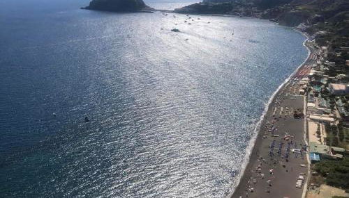 Il giardino - Foto 3