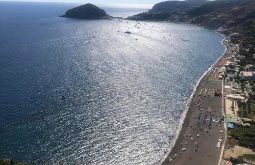 Il giardino - Foto 3