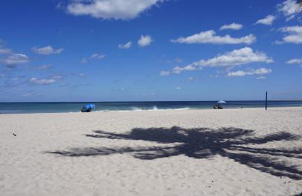 Sunrise on the Intracoastal - Foto 14