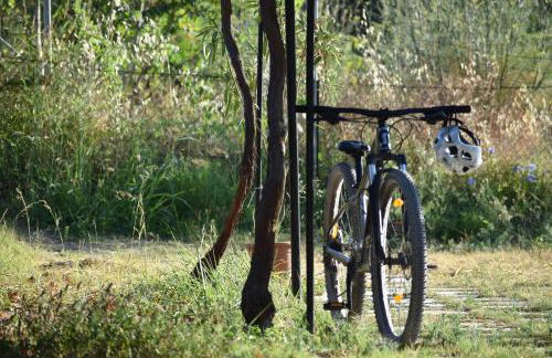 Chliara apartments by Tzalas - Foto 18