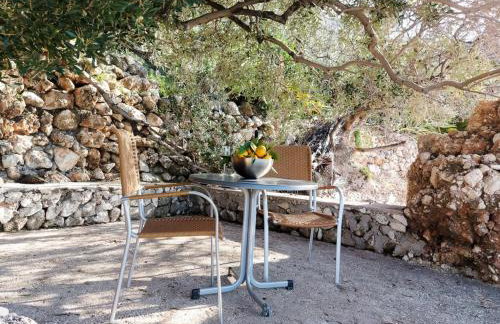 Lemon tree - Foto 34