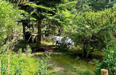 House in the forest in Podlasie - Foto 23