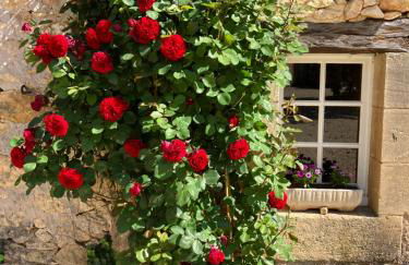 La Tuilerie Grange (Adults only gite) with two en-suite double bedrooms - Foto 36