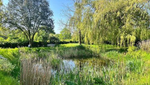 Stunning Manor Farmhouse - Foto 4