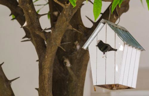 Apartments & Rooms Bari i -Standard One Bedroom Apartment with Balcony and Garden View APT-3 - Photo 19