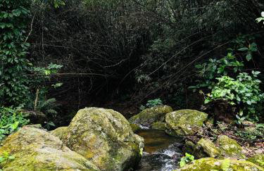 Pedacinho do Céu - Foto 3