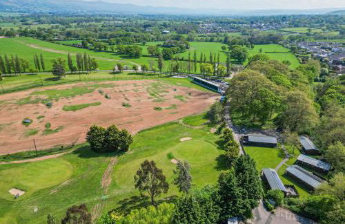 The Blacktail - Foto 23