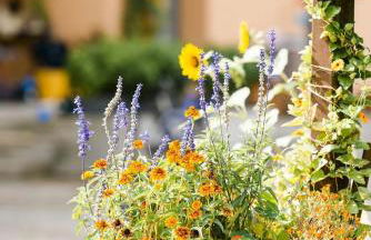 Ferienhof Obertor Heuboden - Foto 13