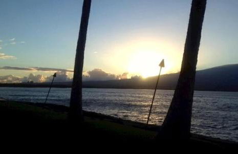 Maalaea Kai 110 Spectacular View in Paradise - Foto 36