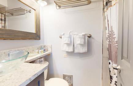 Mammoth Estates Condo - Free Parking & Pet Friendly - Foto 57