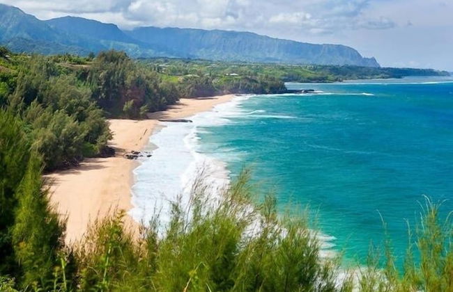 Hale Nanea 1 Bedroom Home by RedAwning - Foto 19