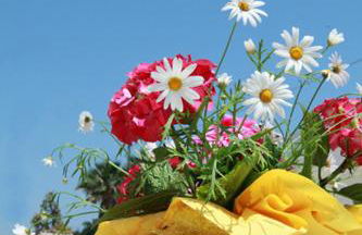 Villetta Frontemare - Foto 7