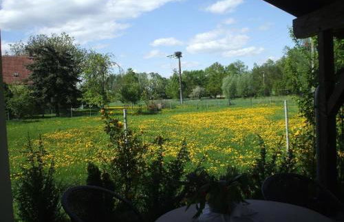 Holiday Home Oderhäuschen by Interhome - Photo 3