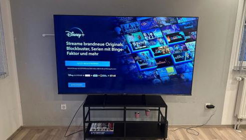 Geräumiges 2-Zimmer Apartment in Messenähe - Foto 4