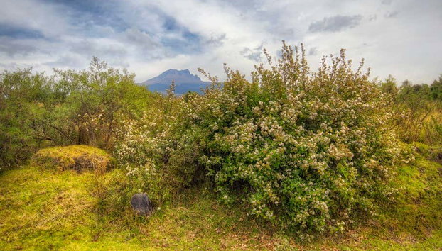 Trekking nel Parco Nazionale La Malinche - Photo 5, Alla scoperta del paesaggio