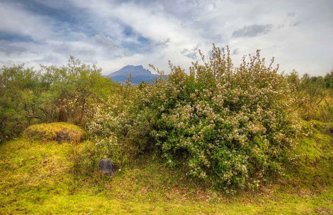 Randonnée dans le Parc National de La Malinche - Photo 1