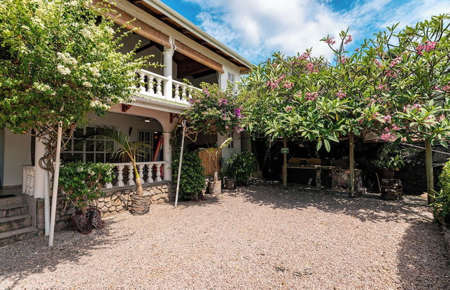 Beau Bamboo - Foto 80