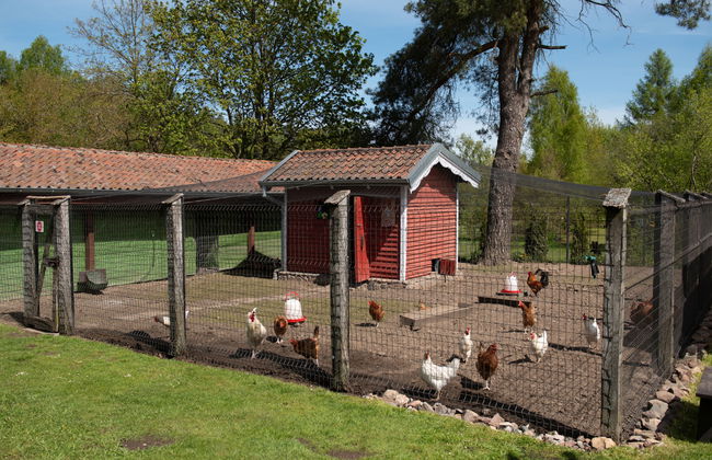 Osada Ulnowo - Foto 39