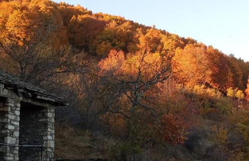 Guesthouse Kontogianni - Materka - Foto 45