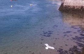 Owl Cabin - Photo 58