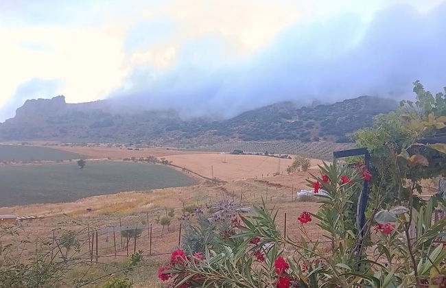 Nature Lovers Escape on an Eco-friendly Vineyard - Foto 36