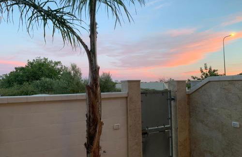 The Sunflower - Foto 68