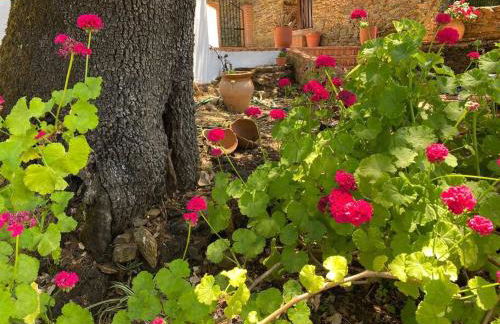 Casa Coronado Vivienda Rural - Foto 20