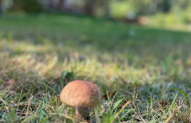 Domek nad Wkrą - Foto 55