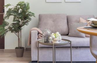 VLC HOST - Reino - Photo 37