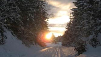 Apartment Birkenhain by Interhome - Foto 3