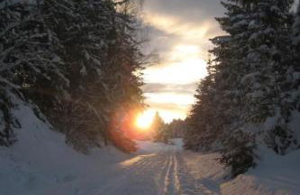 Apartment Birkenhain by Interhome - Foto 3