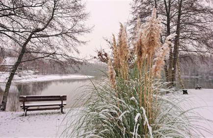 Ferienhaus im Seedorf im Münsterland Warendorf - Photo 35