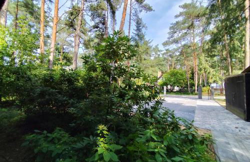 Jutowa Chata - nocleg bliżej natury - Foto 9