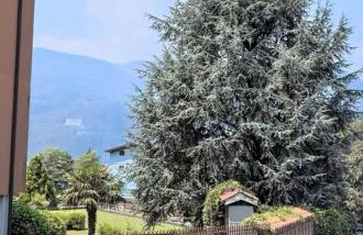 JungleHouse - Foto 22