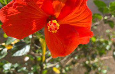 Casa Laranja Imbituba - Foto 21