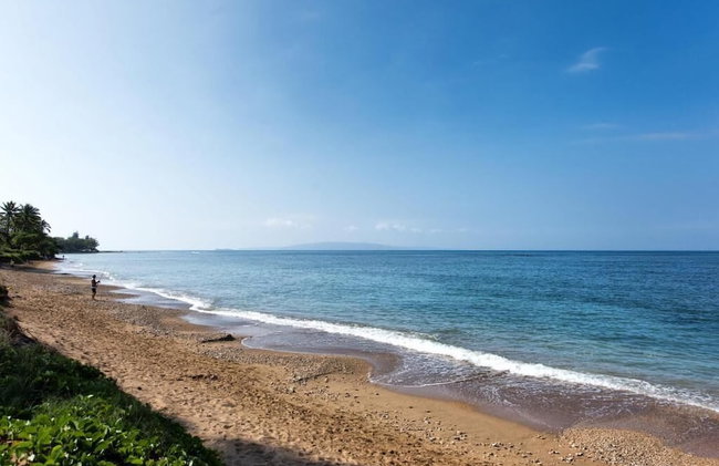 Calming Coastal Vistas - Photo 65