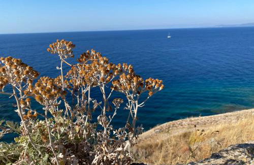 La Casa Rosa - Foto 78