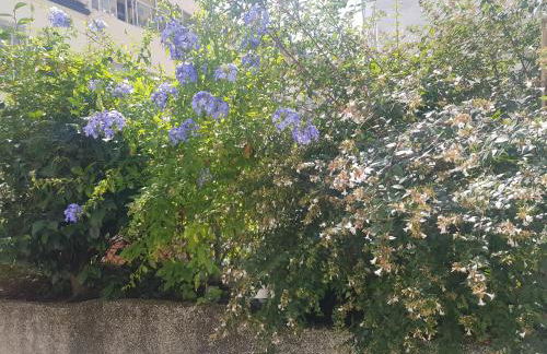 MAXIMO CONFORT - Foto 18