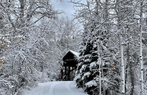 25-Bed, Amenity-Rich Estate in a Private Forest - Foto 80