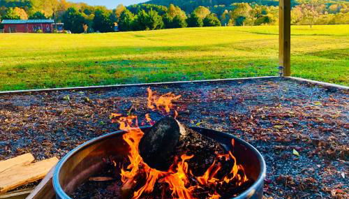 Lil Yellowstone - Foto 2