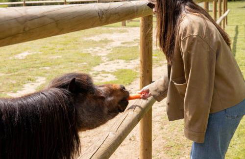 Masia elegant amb jardí i piscina - Photo 62